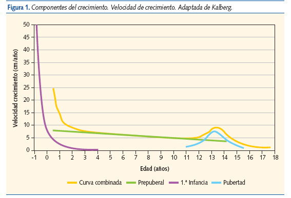 Figura 1. Componentes del crecimiento. Velocidad de crecimiento. Adaptada de Kalberg.